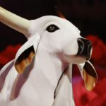 comeca-em-manaus-a-tradicional-feira-folclorica-do-amazonas