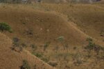 mapbiomas:-fragmentacao-de-areas-naturais-quase-triplicou-em-40-anos