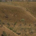 mapbiomas:-fragmentacao-de-areas-naturais-quase-triplicou-em-40-anos