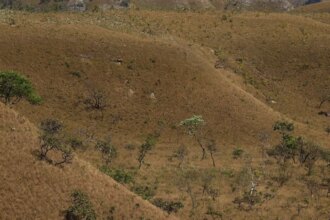 mapbiomas:-fragmentacao-de-areas-naturais-quase-triplicou-em-40-anos
