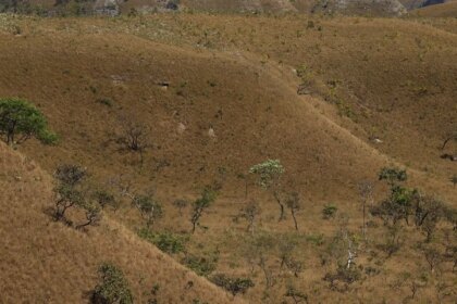 mapbiomas:-fragmentacao-de-areas-naturais-quase-triplicou-em-40-anos