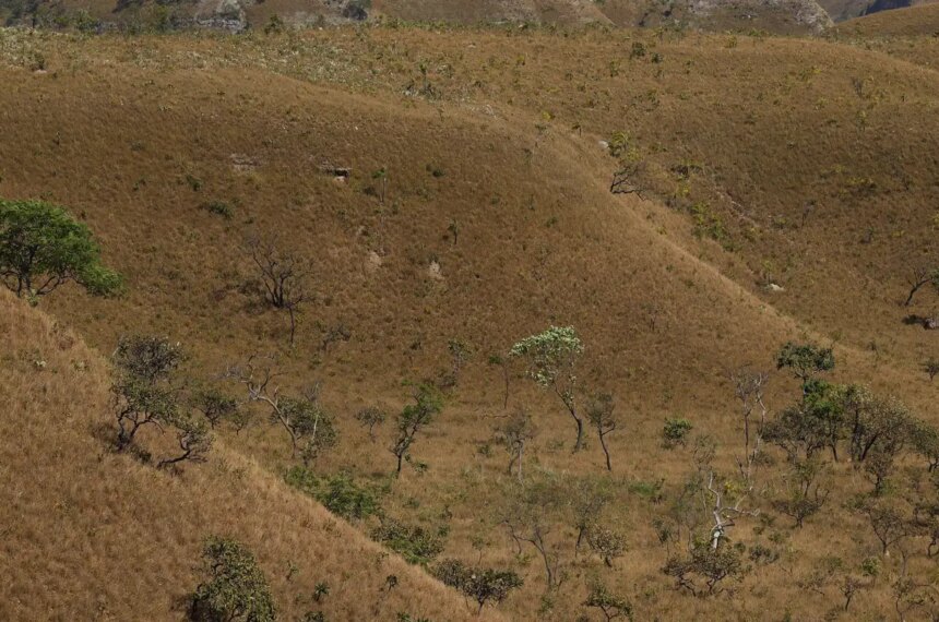 mapbiomas:-fragmentacao-de-areas-naturais-quase-triplicou-em-40-anos