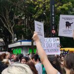 cao-orelha:-justica-arquiva-caso-a-pedido-do-ministerio-publico