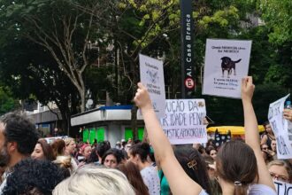 cao-orelha:-justica-arquiva-caso-a-pedido-do-ministerio-publico
