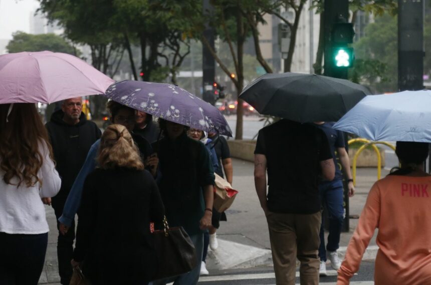 fim-de-semana-sera-marcado-por-temporais-em-areas-do-sul-e-do-sudeste