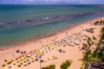 pernambuco-volta-a-monitorar-tubaroes-na-orla-apos-10-anos
