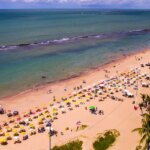 pernambuco-volta-a-monitorar-tubaroes-na-orla-apos-10-anos