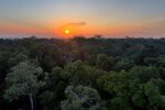 viva-maria-celebra-o-dia-mundial-do-meio-ambiente