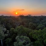 viva-maria-celebra-o-dia-mundial-do-meio-ambiente