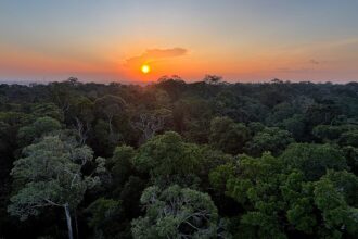 viva-maria-celebra-o-dia-mundial-do-meio-ambiente