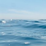 dia-mundial-dos-oceanos-reforca-importancia-dos-mares-para-o-clima