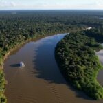 reino-unido-se-torna-o-segundo-maior-doador-do-fundo-amazonia
