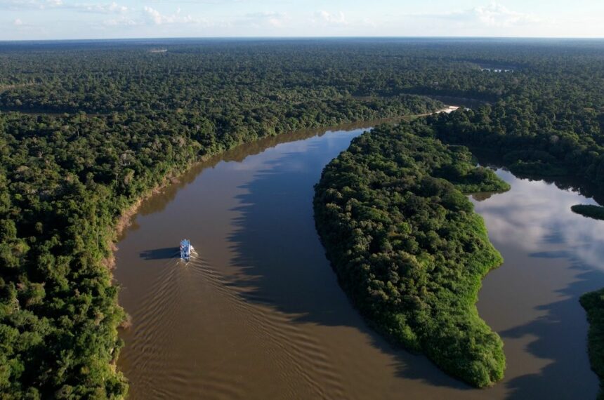 reino-unido-se-torna-o-segundo-maior-doador-do-fundo-amazonia