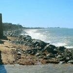 saude-dos-mares-piora,-desregula-o-clima-e-ameaca-a-costa-brasileira