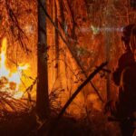 mp-libera-mais-de-r$-337-milhoes-para-combate-a-incendios-florestais