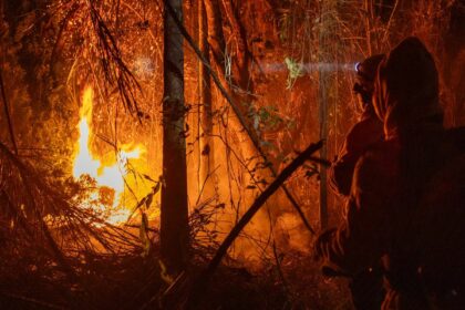 mp-libera-mais-de-r$-337-milhoes-para-combate-a-incendios-florestais