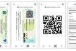 saiba-usar-a-versao-digital-da-carteira-de-identidade-nacional