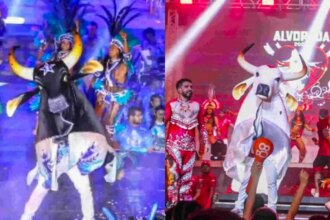 caprichoso-e-garantido-disputam-59a-edicao-do-festival-de-parintins