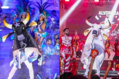 caprichoso-e-garantido-disputam-59a-edicao-do-festival-de-parintins