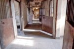 caminhos-da-reportagem-mostra-desafios-para-fechar-manicomios