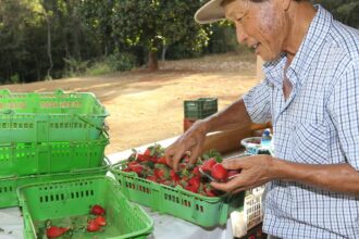 finep-vai-pagar-r$-220-milhoes-para-inovacoes-em-agricultura-familiar
