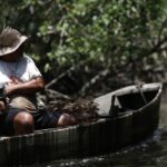 inss-paga-em-julho-r$-874-milhoes-a-149,5-mil-pescadores