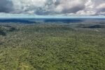 adversaria-em-campo,-noruega-e-parceira-de-acoes-ambientais-do-brasil