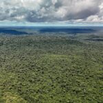 adversaria-em-campo,-noruega-e-parceira-de-acoes-ambientais-do-brasil