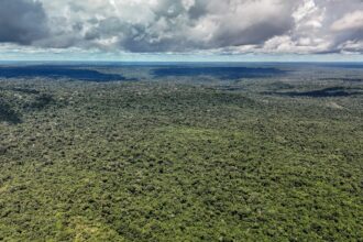 adversaria-em-campo,-noruega-e-parceira-de-acoes-ambientais-do-brasil