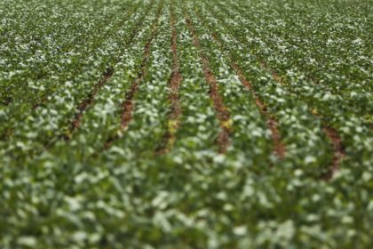 entenda-impasse-entre-bancada-do-agro-e-governo-sobre-dividas-rurais