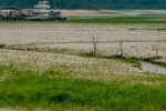 amazonia-apresenta-sinais-de-adaptacao-as-mudancas-climaticas