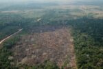 amazonia-registra-queda-de-35%-nos-alertas-de-desmatamento-em-junho