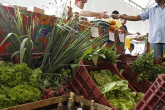 decreto-adia-exigencia-de-cnpj-para-autonomos-e-produtores-rurais