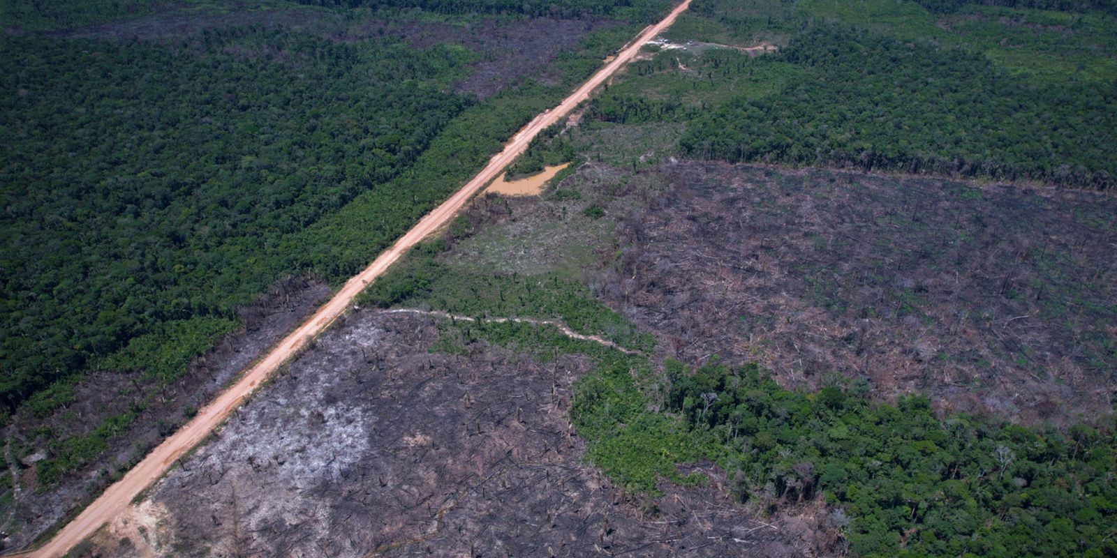 eco-invest-brasil-promove-quinto-leilao-para-financiar-inovacao