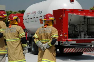 bombeiros-do-rio-ja-fizeram-18-mil-salvamentos-de-animais-em-2026