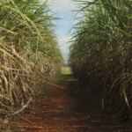 conselho-eleva-limite-de-remuneracao-do-eco-invest-brasil
