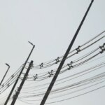 operacao-em-ferros-velhos-quer-reduzir-furto-de-fios-de-cobre-no-rio