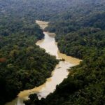 viva-maria:-uma-mulher-na-linha-de-frente-pela-amazonia