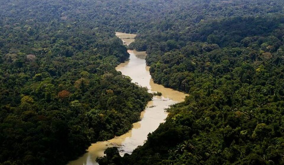 viva-maria:-uma-mulher-na-linha-de-frente-pela-amazonia