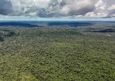 fazenda-autoriza-credito-de-us$-1-bilhao-do-bid-para-eco-invest-brasil