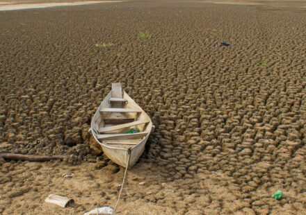 dia-da-amazonia-e-celebrado-com-el-nino-e-alerta-de-seca-intensa
