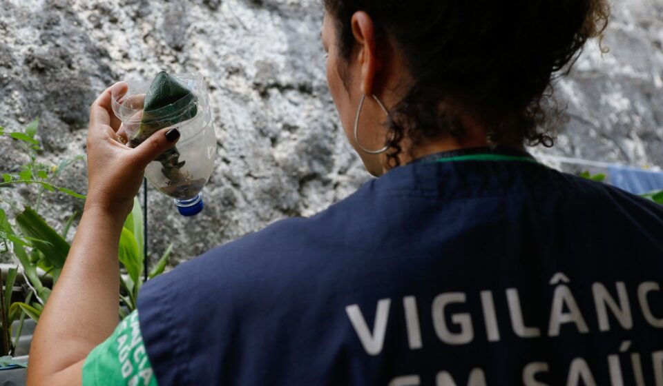 sao-paulo-tem-mais-de-58-mil-casos-de-dengue-desde-o-inicio-do-ano