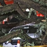 chuvas-fortes-levam-defesa-civil-a-emitir-mais-de-50-alertas-em-sp