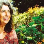 viva-maria-homenageia-livia-martins-pelos-seus-70-anos