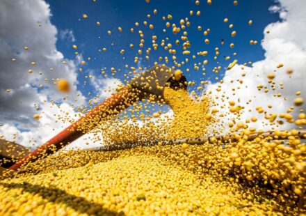 producao-agricola-brasileira-superou-r$-927-bilhoes-em-2025