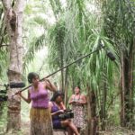 festival-de-mulheres-no-cinema-esta-com-inscricoes-abertas