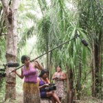 livros-discutem-a-producao-de-cinema-por-mulheres-indigenas