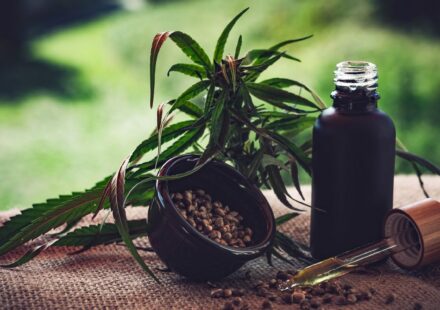 para-associacoes,-normas-ainda-deixam-pontos-em-aberto-sobre-cannabis