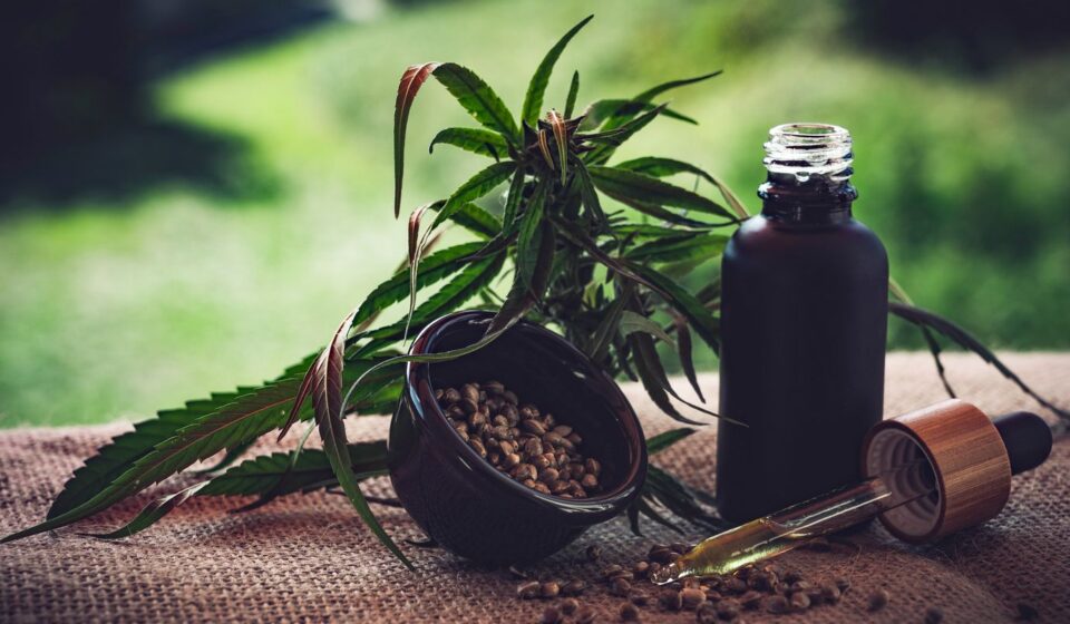 para-associacoes,-normas-ainda-deixam-pontos-em-aberto-sobre-cannabis
