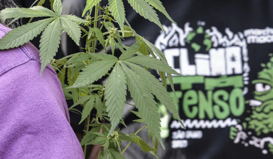 flagrante-por-drogas-gera-mais-prisao-preventiva-do-que-outros-crimes